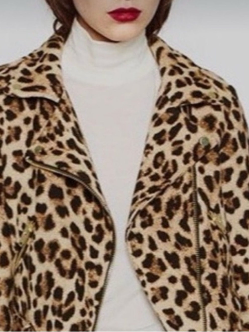 Zara Leopard-Print Jacket - Picture 3 of 9